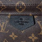 Replica Louis Vuitton Palm Springs Backpack Large